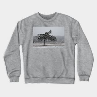 Snow Squall Crewneck Sweatshirt